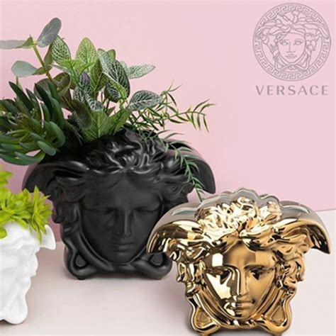 versace vase white and gold|rosenthal Versace pic high quality.